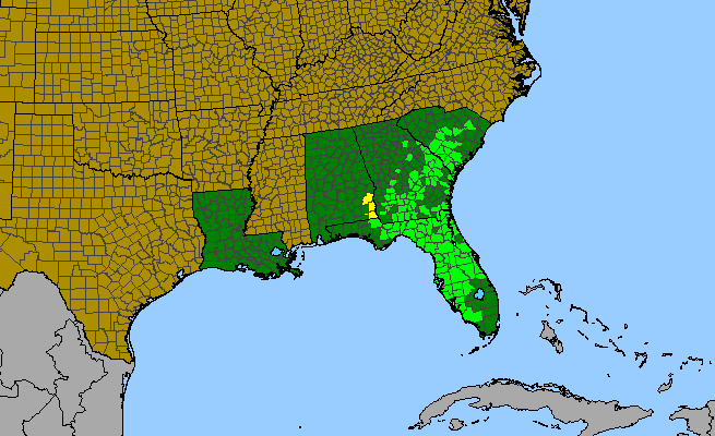 The range of Dyschoriste oblongifolia
